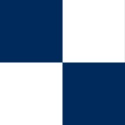 Navy and White Check